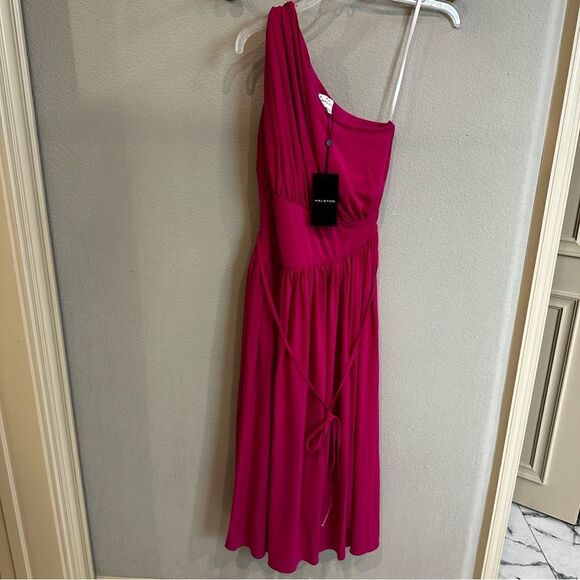 HALSTON | NWT size 2 Idalia Dress In Stretch Jersey Begonia fuchsia pink - Picture 7 of 11
